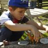 Let's Investigate - Woodland Footprints - Image 2