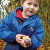 Feast of Nature - Sensory Play Set - Image 3
