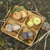 Feast of Nature - Sensory Play Set - Image 2