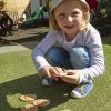 Let's Investigate - Dinosaur Footprints - Image 8