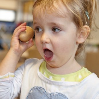 Sensory Sound Eggs - Image 2