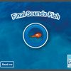 Final Sounds Fish App - Image 2