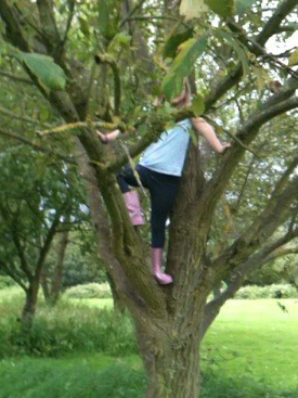 Climbing Trees