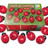 Set of 20 ladybug stones for early counting and subitising