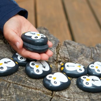 Pre-coding Penguin Stones - Image 2