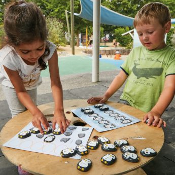 Learn pre-coding skills with these attractive penguin stones and activity cards