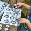 Pre-Coding Penguins
