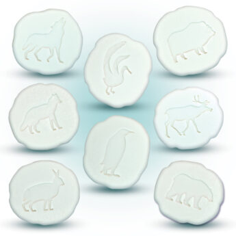 Let's Investigate - Polar Footprints