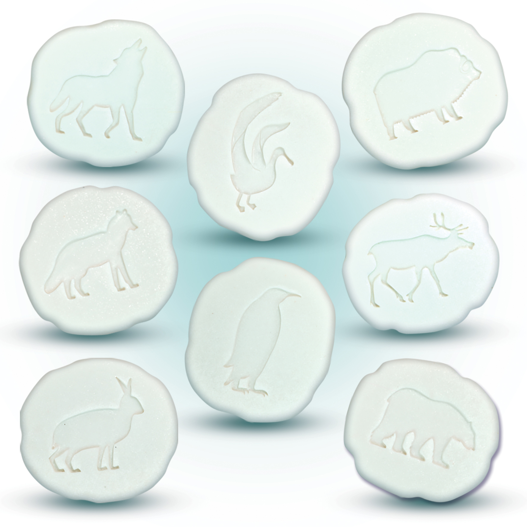 Let's Investigate - Polar Footprints