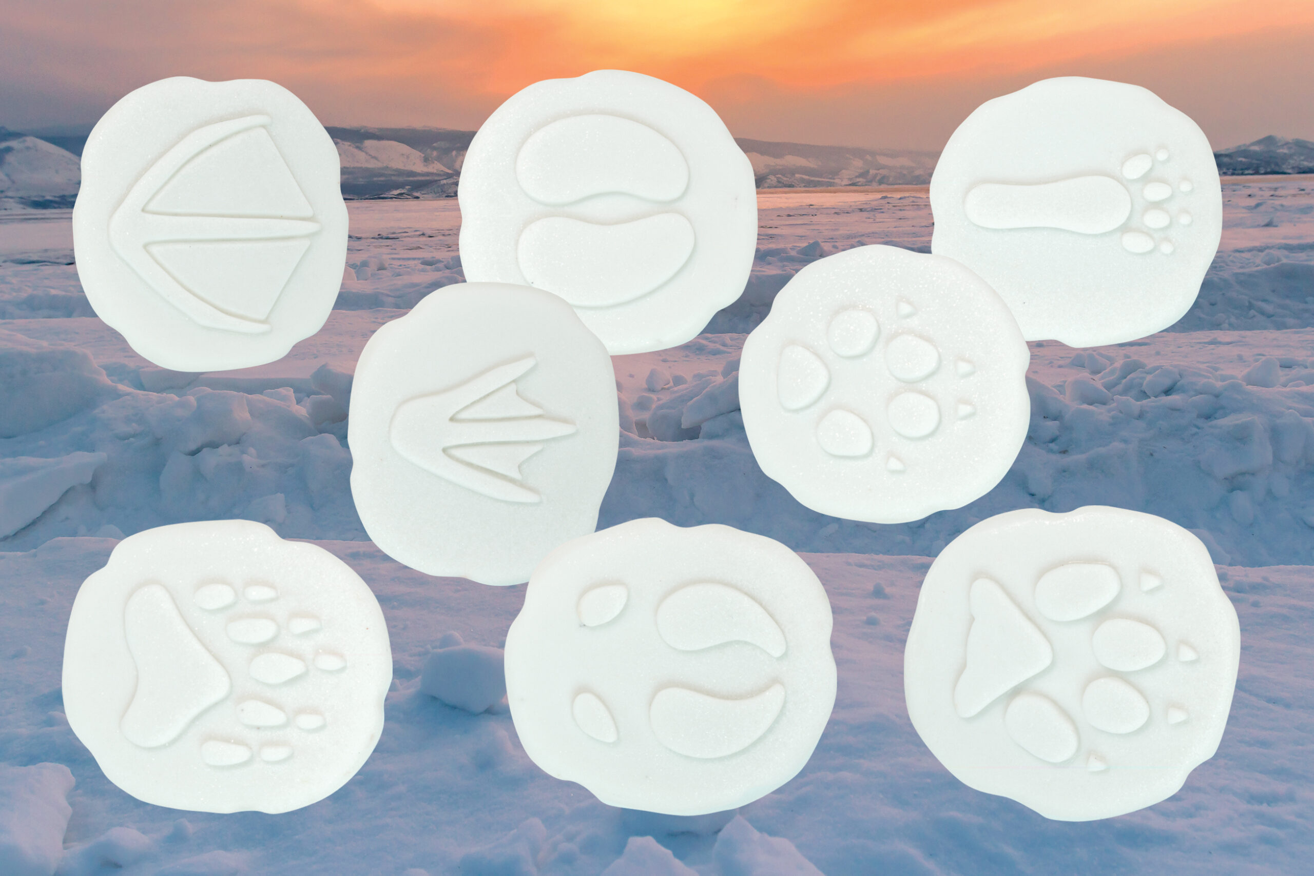 Let's Investigate - Polar Footprints - Image 6