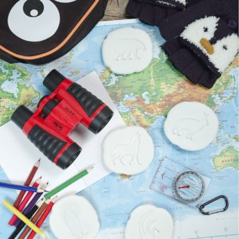 Let's Investigate - Polar Footprints - Image 2