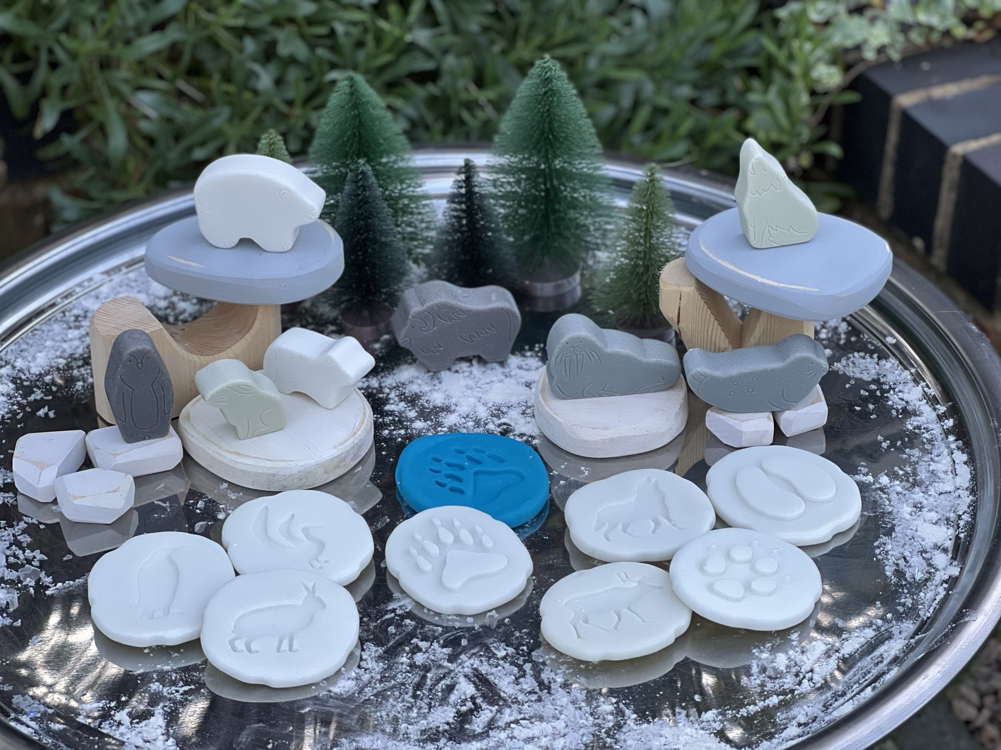 Let's Investigate - Polar Footprints - Image 4