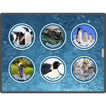 Pre-coding Penguins App - Image 4