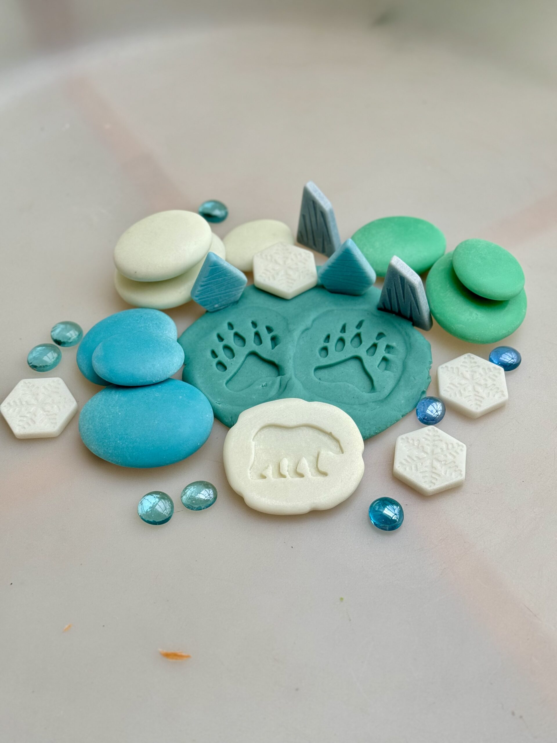 Let's Investigate - Polar Footprints - Image 3