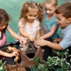 Collaborative play around tree stump
