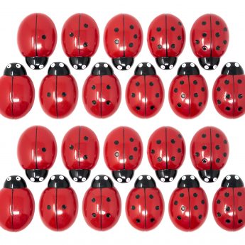 Ladybugs Counting Stones