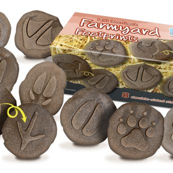 Farmyard Animal Footprint Stones