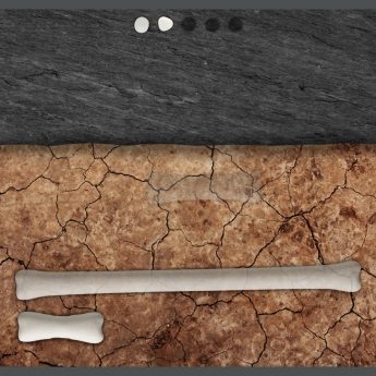Match and Measure App - Image 4