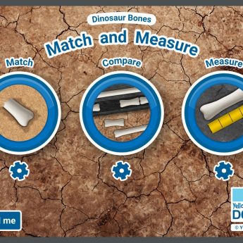 Match and Measure App - Image 6