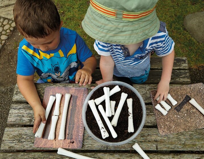 Dinosaur Bones Match and Measure