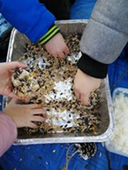 Making pine cone bird feeders