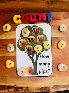 Counting apple pips