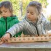 Natural Counting Log - Image 3