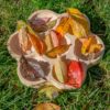 Natural Flower Tray - Image 6