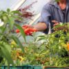 FREE 'plant & grow' printables - Image 2
