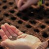 FREE 'plant & grow' printables - Image 4
