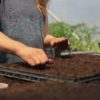 FREE 'plant & grow' printables - Image 5