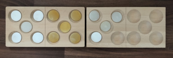 Domino 10-Frame Tray 