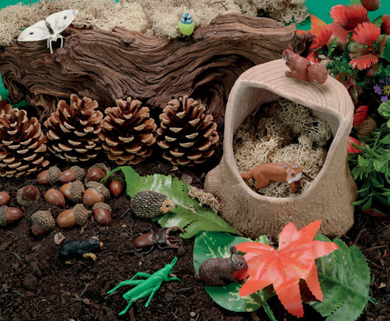 Tree Stump