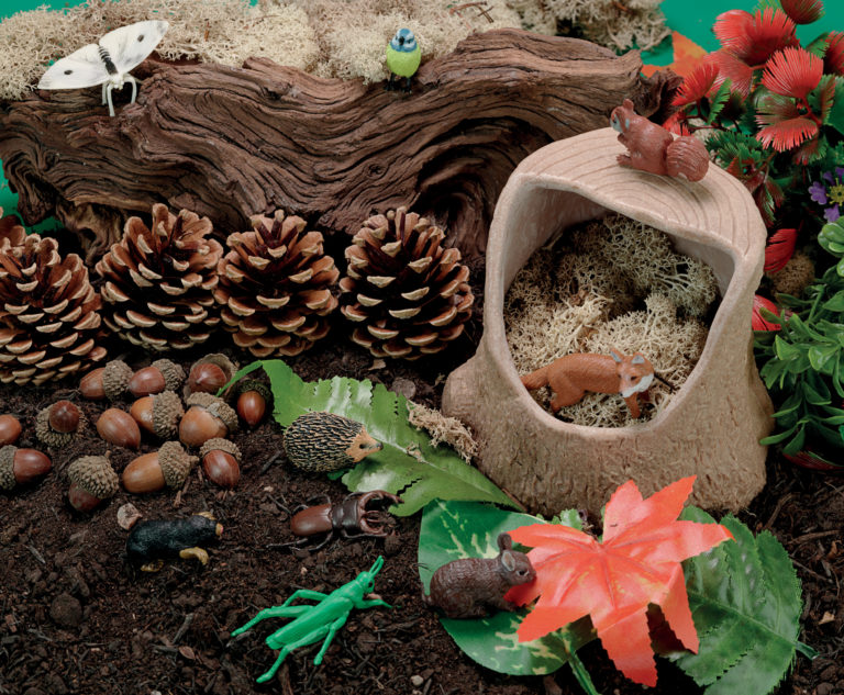 Tree Stump