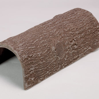 Hollow Log - Image 6
