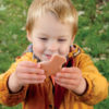 Little Lands - Farmyard - Image 3