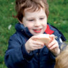 Little Lands - Farmyard - Image 4