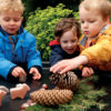 Little Lands - Woodland - Image 6