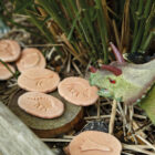 Outdoor Explorer Kit - Image 5