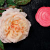 Flowers - Sensory Play Stones - Image 6