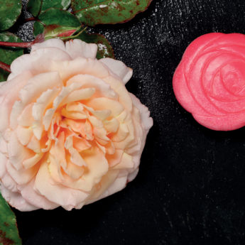 Flowers - Sensory Play Stones - Image 6
