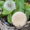 Let's Investigate - Nature - Image 10