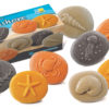 Let's Investigate - Seashore - Image 11