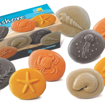 Let's Investigate - Seashore - Image 11