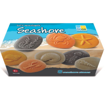Let's Investigate - Seashore - Image 10
