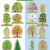 Four Seasons Trees Wooden Play Set - Image 6