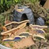 Exploring Dinosaurs Collection  - Image 3