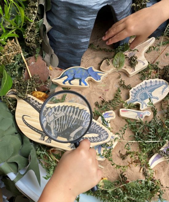 Double-sided wooden dinosaur characters