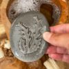 Let's Investigate - Seashore - Image 6