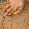 Let's Investigate - Seashore - Image 4